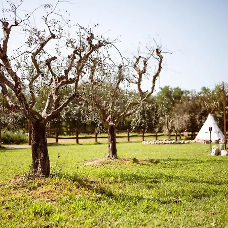 Agricampeggio Equinox Carpignano Sesia