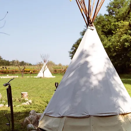 Agricampeggio Equinox Carpignano Sesia